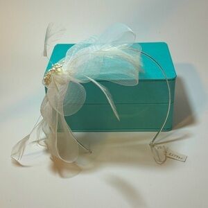 Brand new feather and ribbon head band.